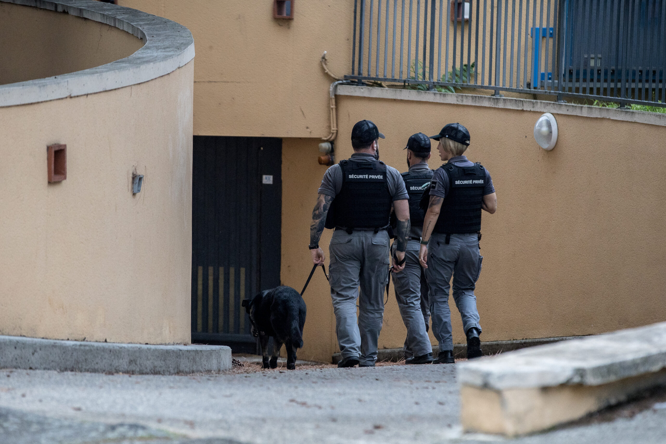 Image valeur ajoutéé Une expertise terrain ancrée et efficace